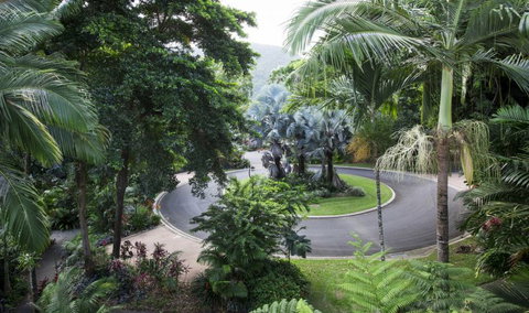 Oasis At Palm Cove - Maitland Accommodation 7