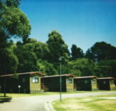 Katoomba Falls Caravan Park - Maitland Accommodation