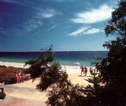 Acacia Caravan Park - Maitland Accommodation 0