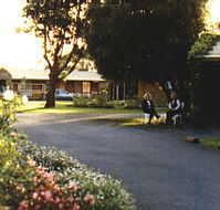 Colonial Village Motel - Maitland Accommodation