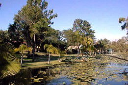 Araluen QLD Maitland Accommodation