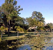 Twin Lakes Hotel - Maitland Accommodation