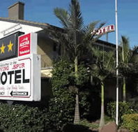Flying Spur Motel - Maitland Accommodation