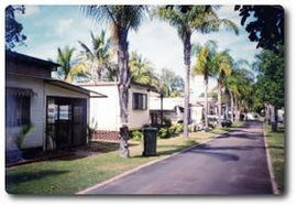 Finemore Tourist Park - Maitland Accommodation 0