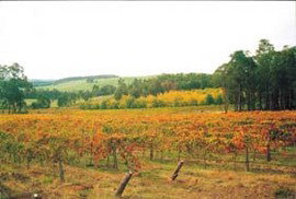 Byramgou Park - Maitland Accommodation 0