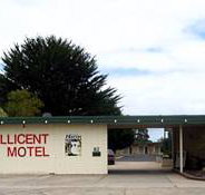 Millicent Motel - Maitland Accommodation