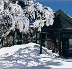 Arlberg Hotel Mt Buller - Maitland Accommodation