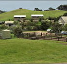 Ace Hi Riding Ranch - Maitland Accommodation