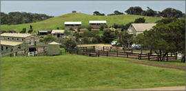 Ace Hi Riding Ranch - Maitland Accommodation 0