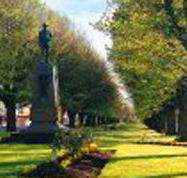 Amble Inn Motel - Maitland Accommodation