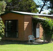 Casuarina Cabins - Maitland Accommodation