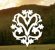  Maitland Accommodation