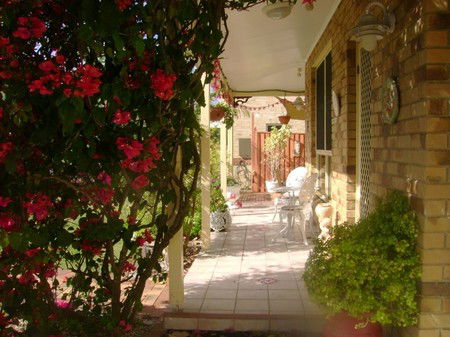 Angels Beach Lodge - Maitland Accommodation 2