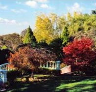 Edgelinks Bed And Breakfast - Maitland Accommodation