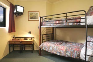 Summit Ridge Alpine Lodge - Maitland Accommodation 2