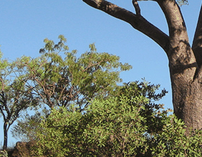 Lakeview Apartments Kununurra - Maitland Accommodation 3