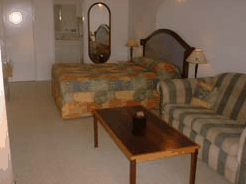 Albert Facey Motor Inn - Maitland Accommodation 4