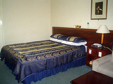 Kingsley Motel - Maitland Accommodation 0