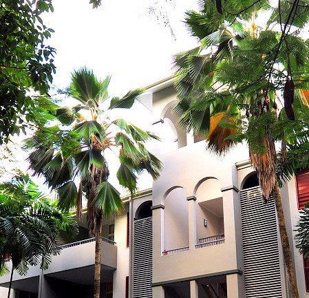 Oasis At Palm Cove - Maitland Accommodation 2