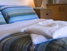 High Cross Park Lodge - Maitland Accommodation 1