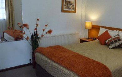 Colonial Lodge Motor Inn - Maitland Accommodation 2