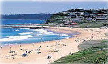 Ashiana Boutique - Maitland Accommodation 1