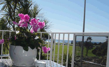 Beach Park Motor Inn - Maitland Accommodation 3