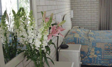 Beach Park Motor Inn - Maitland Accommodation 4