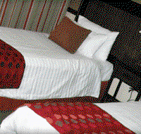 Quality Hotel Burke  Wills - Maitland Accommodation