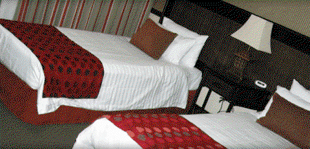 Quality Hotel Burke & Wills - Maitland Accommodation 0