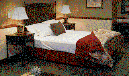 Quality Hotel Burke & Wills - Maitland Accommodation 3