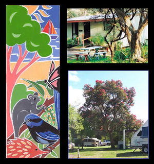 Bushland Cabins - Maitland Accommodation 0