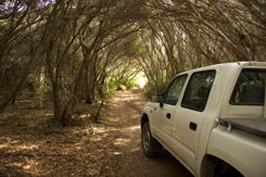 Nampara Cabins - Maitland Accommodation 1