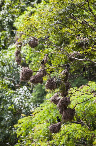 Lake Placid Tourist Park - Maitland Accommodation 4