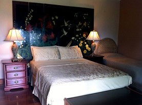 Daintree Manor - Maitland Accommodation 0