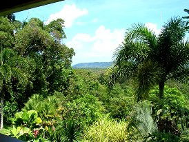 Daintree Manor - Maitland Accommodation 3