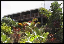 Daintree Manor - Maitland Accommodation 5