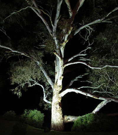 Tally Ho Lodge - Maitland Accommodation 3