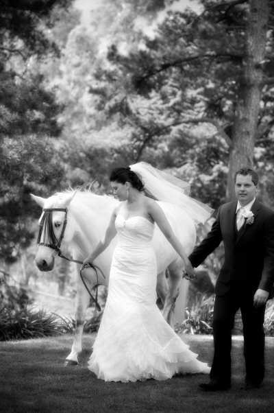 Tally Ho Lodge - Maitland Accommodation 6