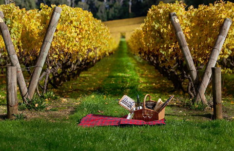 Lindenderry At Red Hill - Maitland Accommodation 5