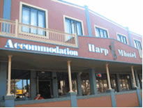 Harp Deluxe Hotel - Maitland Accommodation 0