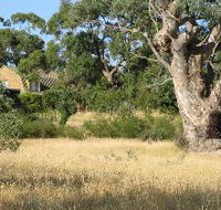 Wings Barossa Bird and Bush Retreat - Maitland Accommodation