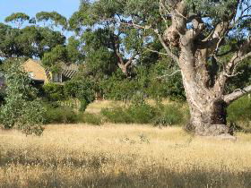 Wings Barossa Bird And Bush Retreat - Maitland Accommodation 0