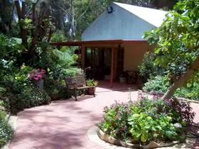 Rainforest Retreat - Maitland Accommodation 0