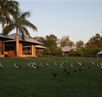 Feathers Sanctuary - Maitland Accommodation
