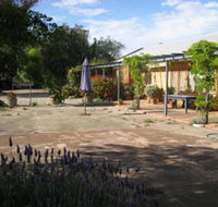 Peechabella Vineyards Bed  Breakfast - Maitland Accommodation