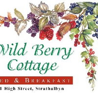 Wild Berry Cottage - Maitland Accommodation
