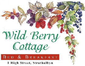 Wild Berry Cottage - Maitland Accommodation 0