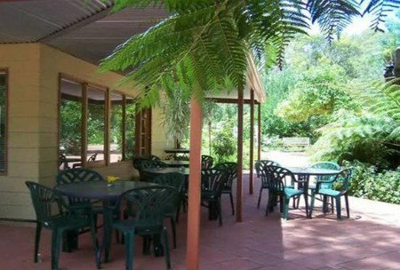 Rainforest Retreat - Maitland Accommodation 1