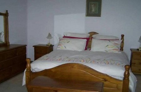 Rainforest Retreat - Maitland Accommodation 2